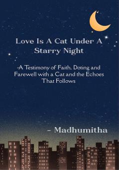 Love is a Cat Under a Starry Night - A Testimony of Faith Doting and Farewell with a Cat and the Echoes That Follow