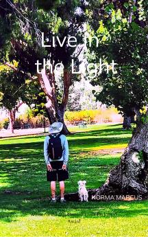 Live in the Light - A collection of poems expressing grief and love of my beloved husband.