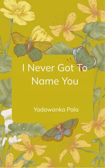 I Never Got To Name You