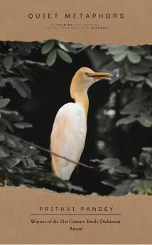 Quiet Metaphors  On knowing not knowing and all that dwells in between.