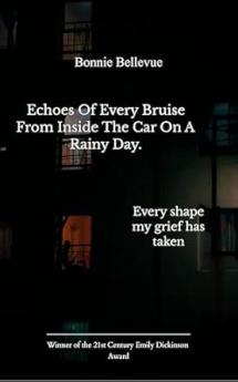 Echos of every bruise from inside the car on a rainy day. Every shape my grief has taken