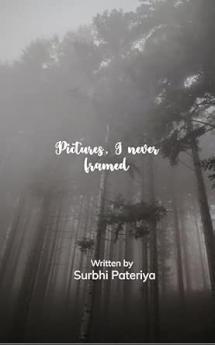 Pictures I never framed: Exploring vulnerability identity and silent wars