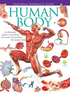 Universal Reference Guide - HUMAN BODY