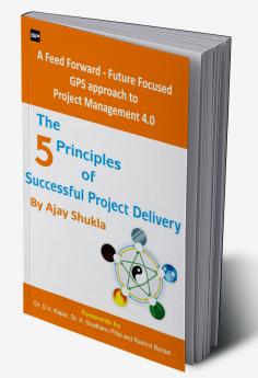 The 5 Principles of Successful Project Delivery