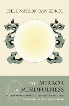Mirror of Mindfulness