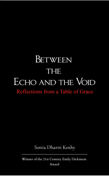 Between the Echo and the Void
