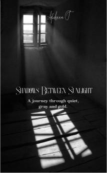 Shadows between sunlight: A journey through quiet gray and gold