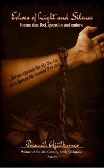 Echoes of Light and Silence