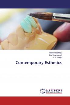 Contemporary Esthetics