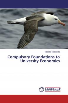 Compulsory Foundations to University Economics