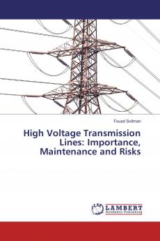 High Voltage Transmission Lines: Importance Maintenance and Risks