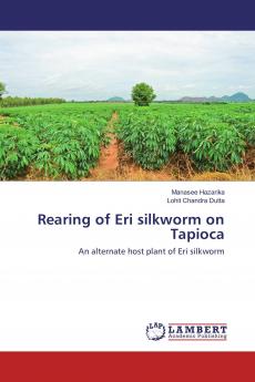 Rearing of Eri silkworm on Tapioca