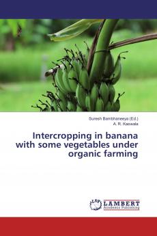 Intercropping in banana with some vegetables under organic farming