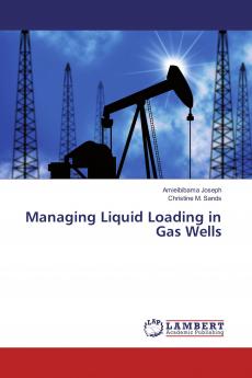 Managing Liquid Loading in Gas Wells