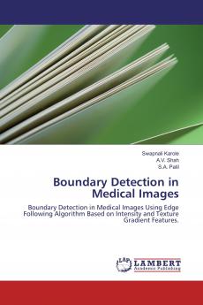 Boundary Detection in Medical Images