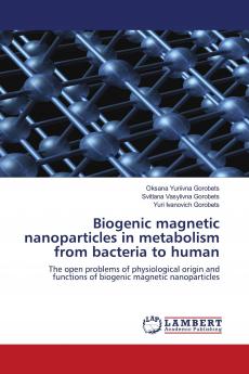 Biogenic magnetic nanoparticles in metabolism from bacteria to human