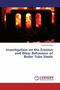 Investigation on the Erosion and Wear Behaviour of Boiler Tube Steels