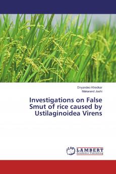Investigations on False Smut of rice caused by Ustilaginoidea Virens