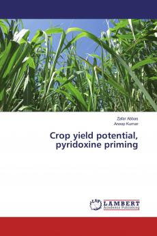 Crop yield potential pyridoxine priming