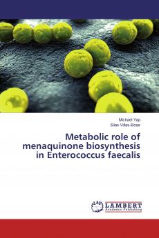 Metabolic role of menaquinone biosynthesis in Enterococcus faecalis