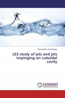 LES study of jets and jets impinging on cuboidal cavity