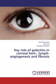 Key role of galectins in corneal hem- lymph-angiogenesis and fibrosis