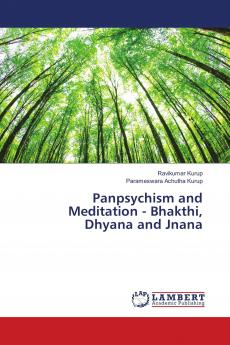 Panpsychism and Meditation - Bhakthi Dhyana and Jnana