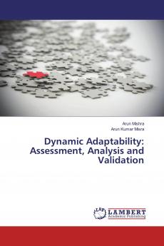 Dynamic Adaptability: Assessment Analysis and Validation