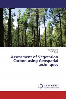 Assessment of Vegetation Carbon using Geospatial techniques
