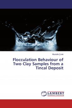Flocculation Behaviour of Two Clay Samples from a Tincal Deposit