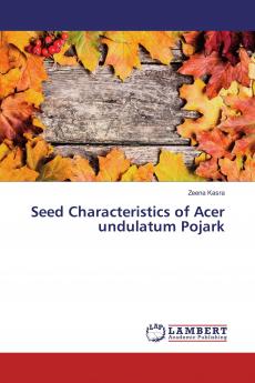 Seed Characteristics of Acer undulatum Pojark