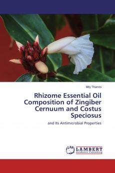 Rhizome Essential Oil Composition of Zingiber Cernuum and Costus Speciosus