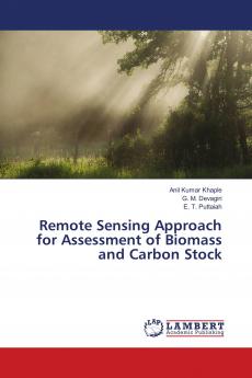 Remote Sensing Approach for Assessment of Biomass and Carbon Stock