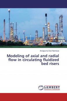 Modeling of axial and radial flow in circulating fluidized bed risers