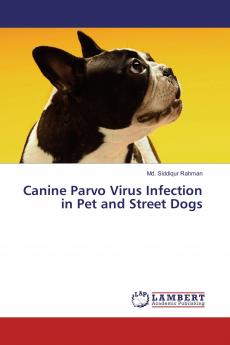 Canine Parvo Virus Infection in Pet and Street Dogs