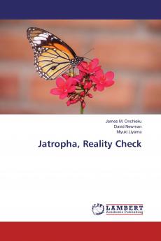 Jatropha Reality Check