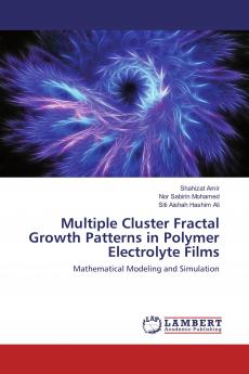 Multiple Cluster Fractal Growth Patterns in Polymer Electrolyte Films