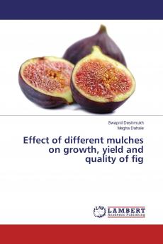 Effect of different mulches on growth yield and quality of fig