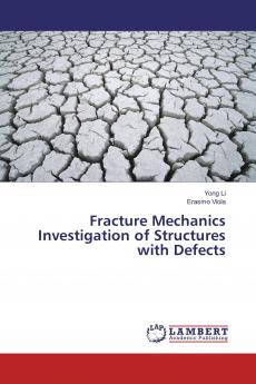Fracture Mechanics Investigation of Structures with Defects
