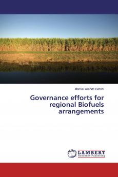Governance efforts for regional Biofuels arrangements