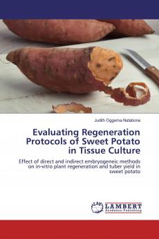 Evaluating Regeneration Protocols of Sweet Potato in Tissue Culture