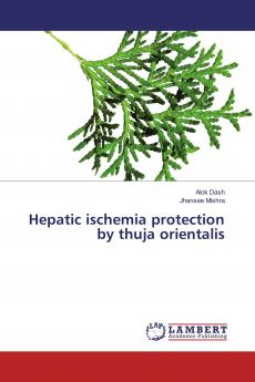 Hepatic ischemia protection by thuja orientalis