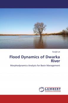 Flood Dynamics of Dwarka River