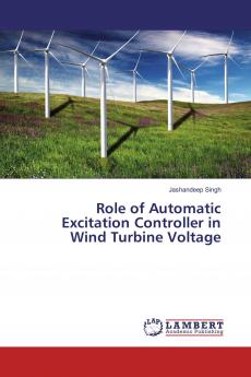 Role of Automatic Excitation Controller in Wind Turbine Voltage