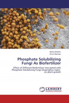 Phosphate Solubilizing Fungi As Biofertilizer