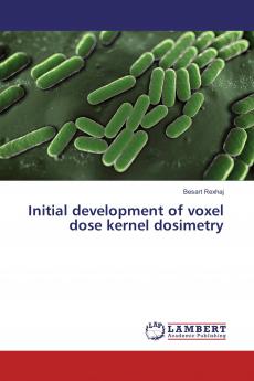 Initial development of voxel dose kernel dosimetry