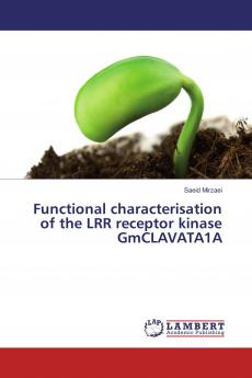 Functional characterisation of the LRR receptor kinase GmCLAVATA1A