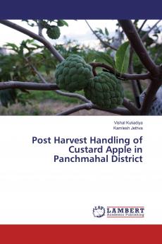 Post Harvest Handling of Custard Apple in Panchmahal District