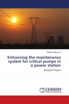 Enhancing the maintenance system for critical pumps in a power station