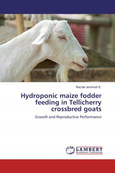 Hydroponic maize fodder feeding in Tellicherry crossbred goats